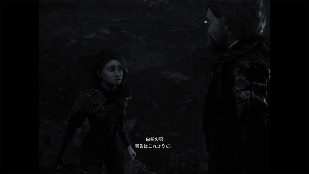 Clair Obscur: Expedition 33 マエルの悪夢