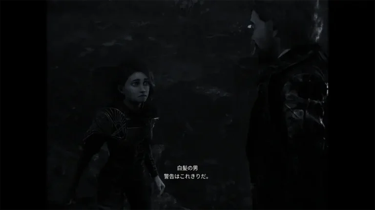 Clair Obscur: Expedition 33 マエルの悪夢