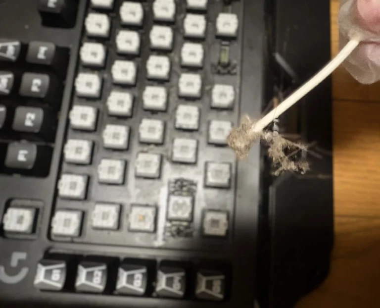 綿棒で取れた最悪な汚れの写真